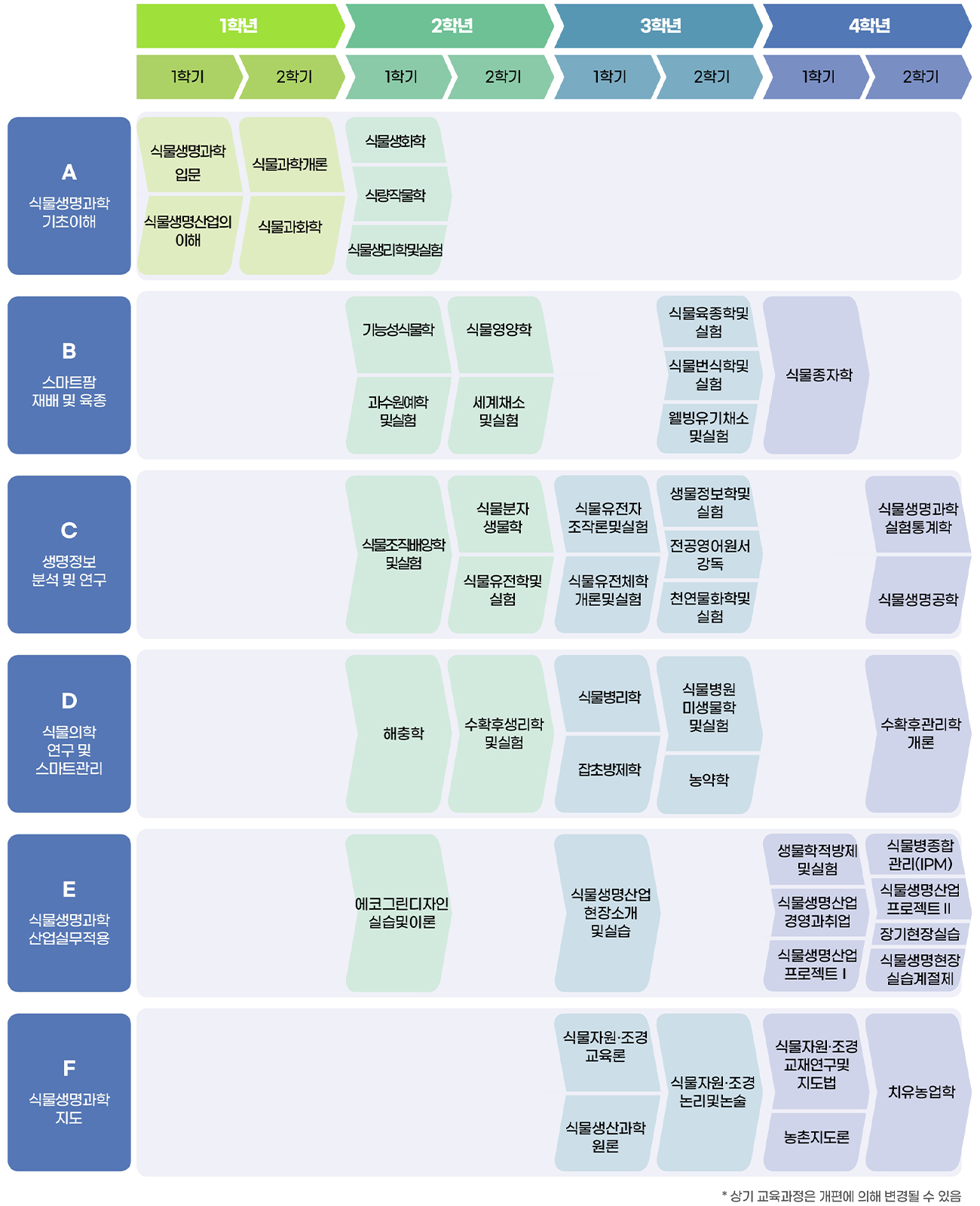 전공로드맵